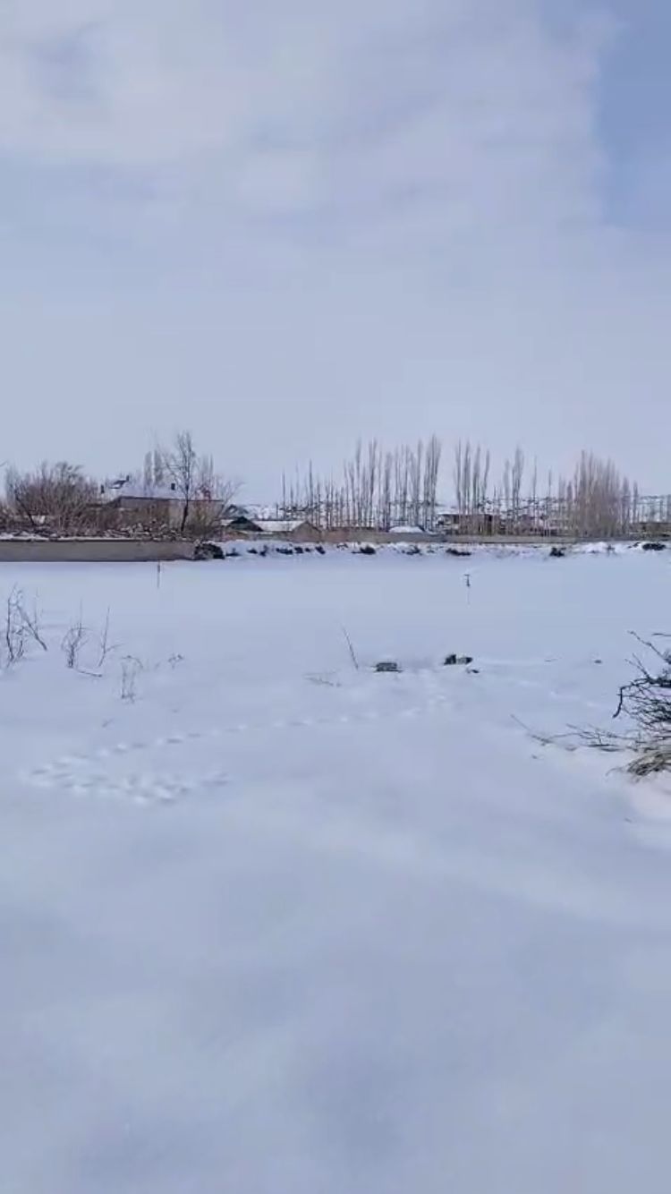 Kar Bekarlar köy’ünü esir aldı..
